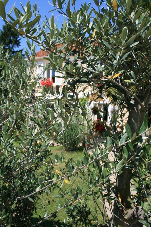 Gites Le Petit Nailly Magny-les-Hameaux Εξωτερικό φωτογραφία